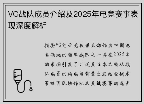 VG战队成员介绍及2025年电竞赛事表现深度解析